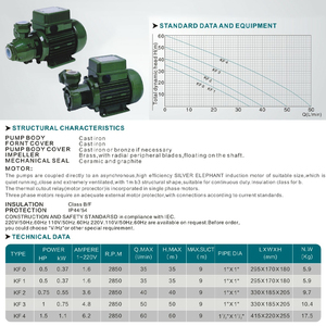 <span class=keywords><strong>KF</strong></span> loạt điện ly tâm một pha máy bơm nước gang cho các ứng dụng gia công - Product Image 2