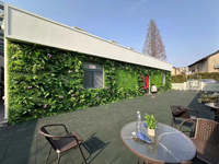 Plantes Artificielles d'Extérieur et d'Intérieur, Faux Gazons, Arbres, Palmiers, Fleurs et Pots en Soie en Matériau PE pour Mariages