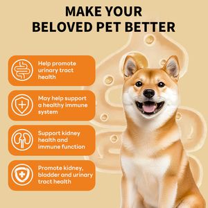 N4p weilepai hot-bán tùy chỉnh vật nuôi đường tiết niệu sức khỏe Drops-Thúc đẩy bàng quang & thận sức khỏe cho mèo và chó - Product Image 5