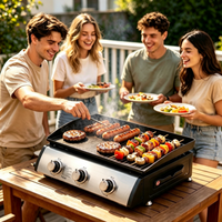 Grill de table portable à 3 brûleurs pour restaurant, équipement de restauration en acier inoxydable, plaque de cuisson électrique, plaque de cuisson au gaz
