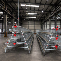 Système d'élevage avicole de haute capacité pour 120 poules pondeuses, nouvelle cage à poulets automatique galvanisée de type A à 4 portes, la plus vendue