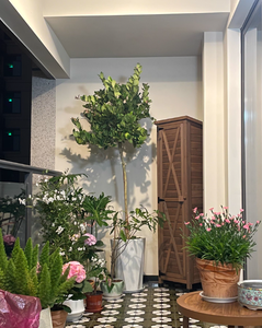 Moderno jardín al aire libre de madera esquina garaje herramienta estrecho gabinete de almacenamiento fino impermeable con puerta para <span class=keywords><strong>patio</strong></span> trasero jardín <span class=keywords><strong>Patio</strong></span> - Product Image 4