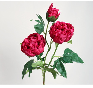 H-701New Phong Cách Bất Cảm Thấy Hoa Mẫu Đơn Nhân Tạo Kích Thước Lớn Bất Cảm Ứng Hoa Mẫu Đơn Thực Tế Cảm Ứng Kem Mẫu Đơn Trắng Số Lượng Lớn - Product Image 3