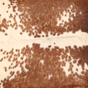 Cueros de vaca secos y húmedos salados al mejor precio/pieles de ganado disponible en suministro al por mayor a granel - Product Image 2