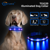 Collier de chien LED rechargeable par USB accessoire pour animaux de compagnie en polyester souple collier clignotant lumineux imprimé sans danger pour chiens chats chiots