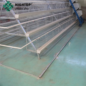 Nigeria Uganda mercado Zambia galvanizado jaula <span class=keywords><strong>pollo</strong></span> huevo - Product Image 5