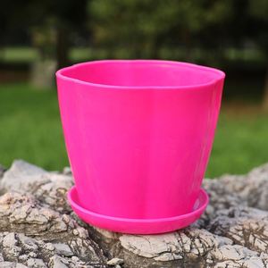 Mini <b>Plant</b> With Saucer,Decorative <b>Plastic</b> Gardening Flower Pot 9*8*6Cm - Product Image 3