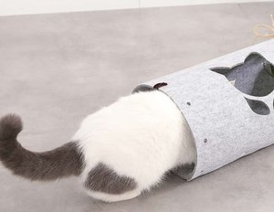 <span class=keywords><strong>Tapis</strong></span> tunnel pliable en feutre pour chat, convertible, interactif, écologique, jouet pliable pour chaton - Product Image 2