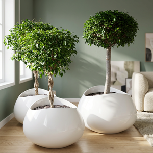 Maceta de Fibra de Vidrio para Jardín, Maceta Decorativa para Plantas, Contenedor Grande para Interiores y Exteriores, para Decoración de Hogar, Patio, Villa, Hotel y Jardín - Product Image 1