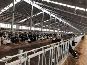 Nave Agrícola y Establos Prefabricados <span class=keywords><strong>de</strong></span> Estructura <span class=keywords><strong>de</strong></span> Acero Ligero con Servicios <span class=keywords><strong>de</strong></span> Soldadura y Corte, Instalación Rápida, Color Personalizado - Product Image 5
