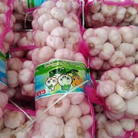 Ail frais chinois 4 KG Emballage en sac en filet Exportation vers Dubaï Taille 5cm 5.5cm Prix bas Ail frais pur blanc