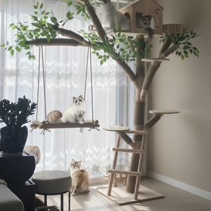 Materiale in legno massello <span class=keywords><strong>gatto</strong></span> Crawler nido Sisal per il <span class=keywords><strong>gatto</strong></span> arrampicata imballato in cartone - Product Image 3