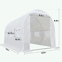 Pro-Level 10X6,6X6,6 фута белая пешеходная теплица 18 кольев 4 веревки садовая теплица для выращивания овощей и цветов