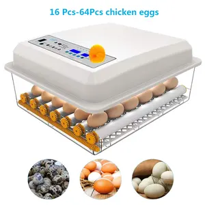 Incubateur automatique d'œufs de poule à double puissance, 24 pièces