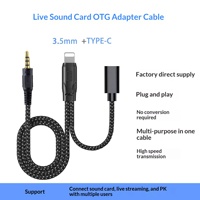 Câble audio OTG Type C pour iPhone et ordinateur, en nylon/PVC, conducteur en cuivre pur, alliage d'aluminium, accessoire de carte son pour diffusion en direct