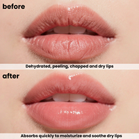 Vegan Natuurlijke Voedende Biologische Lipbalsem Tube met Aangepast Logo Hydraterende Vochtige Getinte Lipbalsem Privélabel