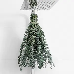Tiges d'eucalyptus séchées 100% vraies Eucalyptus fabriquées à partir de feuilles fraîches Eucalyptus artificiel décoration de <span class=keywords><strong>mariage</strong></span> plante - Product Image 1