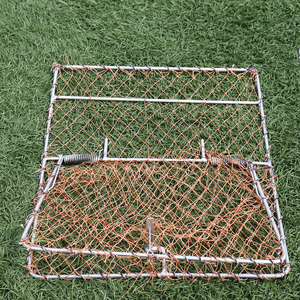 <span class=keywords><strong>Cage</strong></span> piège pliable en acier galvanisé, pièges à oiseaux, contrôle, piège à animaux vivants humain, capture de moineaux - Product Image 3
