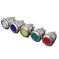 Lampe indicatrice LED métallique 22 mm, étanche IP67, à montage sur panneau, lampe de signalisation 3V 6V 12V 24V 110V 220V, multicolore, usage industriel