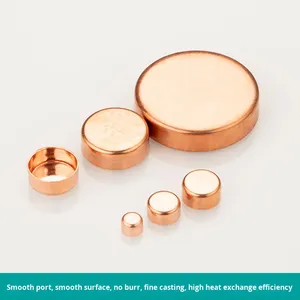 Đồng cắm ống nắp áp suất thấp con dấu nắp mù cho hàn nước 10 ~ 108mm phẳng Miệng cắm Nắp - Product Image 4