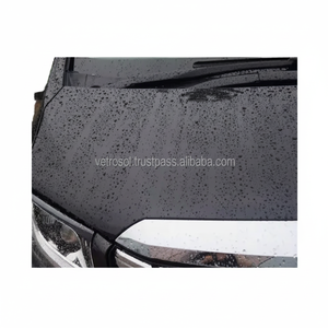 High Gloss Hydrophobic 10H <b>Diamond</b> Nano Liquid Car Ceramic Coating Scratch Protection Easy Spray Application Metal <b>Paintings</b> - Product Image 1