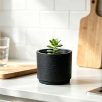 Ensemble de pots de fleurs créatifs de style nordique en ciment, légers, respirants, biodégradables, pour plantes vertes et succulentes de bureau