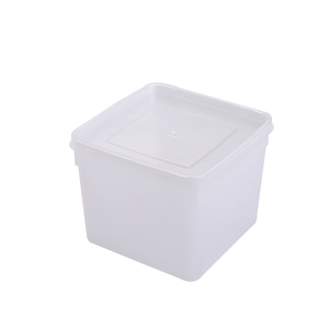 Tùy chỉnh kích thước PP thực phẩm lưu trữ container thực phẩm tổ chức container thích hợp cho bảo quản trái cây - Product Image 5