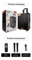 Subwoofer Portátil de Alta Potencia 40W Altavoz RGB para Karaoke y Fiestas en Casa con Micrófonos Dobles Mini Altavoz KTV de Fábrica