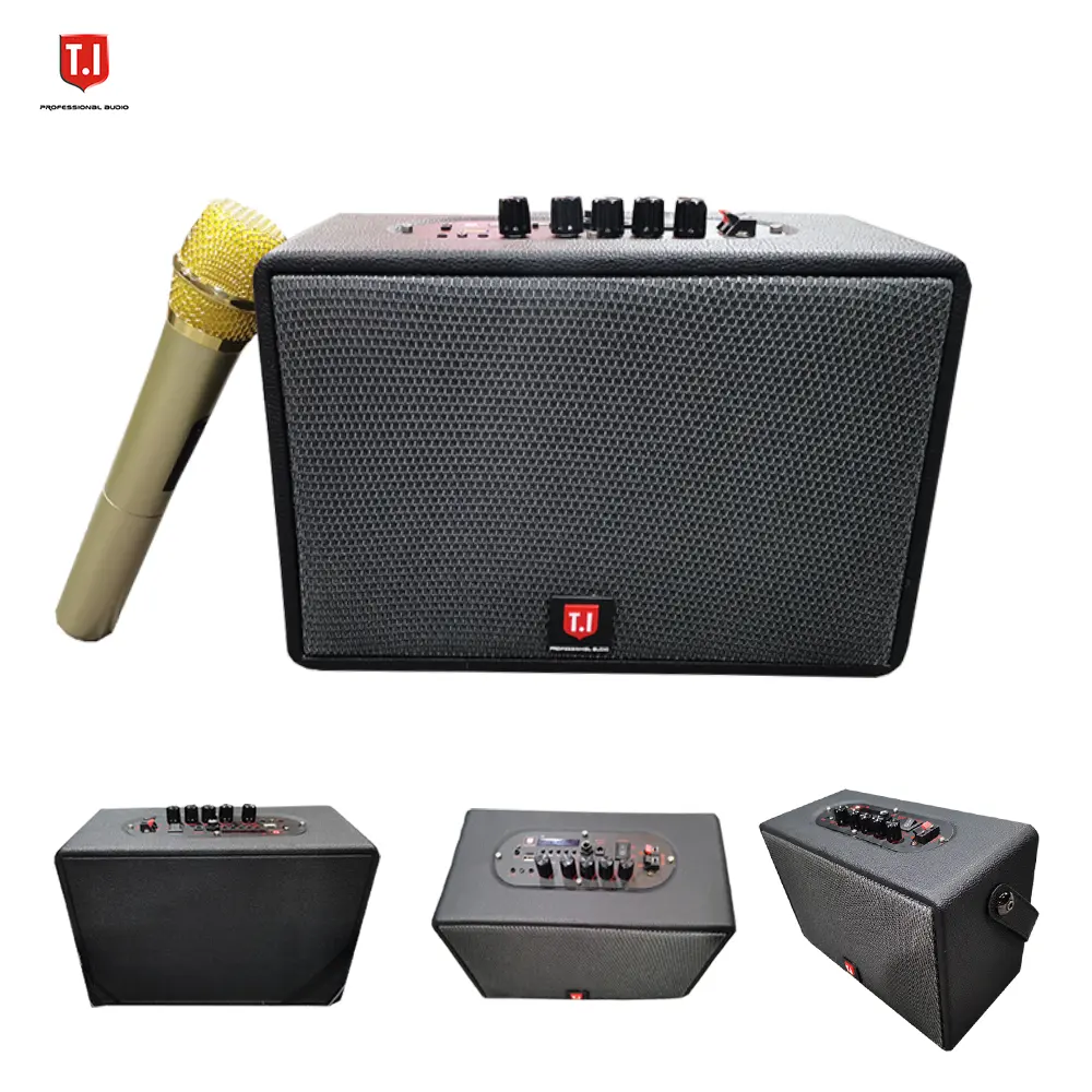 Free shipping professional audio system luxury lifestyle speaker box bluetooth battery system speakers