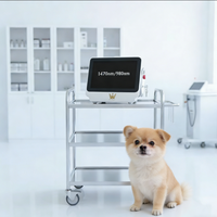 Laser diode vétérinaire chirurgical YUWEI VT101 pour la cicatrisation des plaies chez les animaux, 980 nm, 15 W/30 W, machine de thérapie par découpe des tissus mous, certifié CE