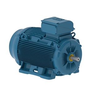 Baru dan asli W21 4P 2HP 220V 380V 60HZ tiga garis saham Motor cuci gudang dari Wegs - Product Image 6