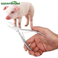 Guanyi – Équipement vétérinaire en gros : Pince à dents et coupe-griffes en acier inoxydable pour porcelets