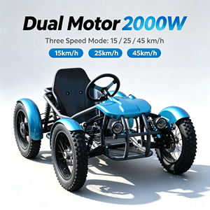 Quad Elettrico Fuoristrada a <span class=keywords><strong>4</strong></span> <span class=keywords><strong>Ruote</strong></span> con Pneumatici Larghi, Quadriciclo Elettrico da Turismo - Product Image 1