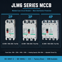 JLM6 MCCB Pemutus Sirkuit Tipe Cetak 2P 3P 4P 100A 250A 400A 630A AC400V Pengaturan Trip yang Dapat Disesuaikan Industri IEC60947-2