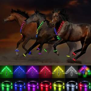 Conjunto de Arnés y Correa para Patas de Caballo con Luces LED, Recargable por USB, Ajustable, Equipo de Seguridad, Arnés de Caballo con Luces LED para Mayor Visibilidad y Seguridad - Product Image 1