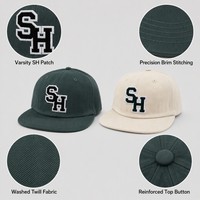 Casquette Snapback de Luxe Personnalisée avec Logo Brodé en 3D, Réglable, Unisexe, Souvenir d'Événement et Chapeaux pour Marquage d'Entreprise