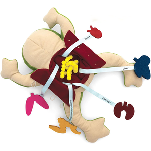Peluche grenouille verte Froggie Lab, jouet éducatif pour enfants, anatomie de la dissection, apprentissage scientifique amusant, 12,5 pouces - Product Image 3