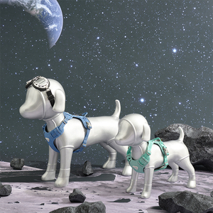 Nouveau modèle de présentation pour animaux de compagnie en fibre de verre pour la présentation de vêtements et d'accessoires pour animaux, <span class=keywords><strong>taille</strong></span> S/M/L, mannequin pour chien - Product Image 5