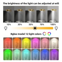 Lampes murales rechargeables modernes avec télécommande, 13 modes d'éclairage, lumière LED magnétique à intensité variable, DC24V, maison, bureau, minimaliste