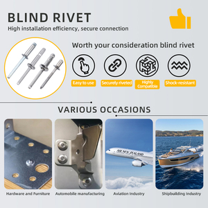 Yüksek Kaliteli Çok Kavramalı Büyük Flanşlı Perçinler Alüminyum Demir Kör Perçin, Çinko Kaplı Gizli Başlı Kör Perçin Özelleştirilebilir - Product Image 5