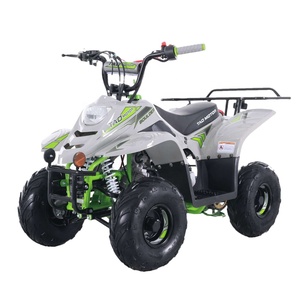 Quadricycle agricole Tao Motor pas cher Cuatrimotos 110cc ATV pour enfants à vendre - Product Image 1