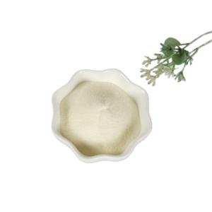 Complément sportif Keto de qualité supérieure pour la force, la nutrition et l'énergie, poudre de protéines - Product Image 1