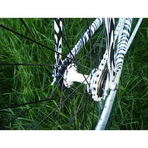 700C classique Offre Spéciale avec zèbre bande couleur pignon fixe vélo - Product Image 4