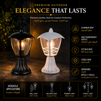 Lampadaire de jardin moderne pour extérieur avec diffuseur en acrylique transparent et cadre de protection décoratif