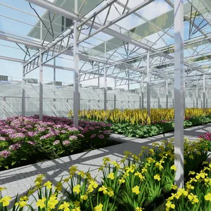 2020 Multi-span glass water saving green house