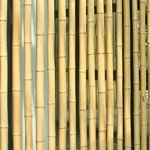 Estacas <span class=keywords><strong>de</strong></span> bambú para construcción, <span class=keywords><strong>postes</strong></span> grandes <span class=keywords><strong>de</strong></span> bambú para construcción, <span class=keywords><strong>baratos</strong></span>, venta al por mayor - Product Image 6