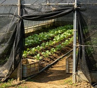 Filet d'ombrage noir tissé pour l'agriculture, protection des plantes en serre, toile d'ombrage avec bord renforcé et œillets