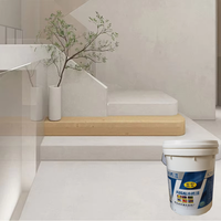 Vente flash Microciment liquide imperméable Revêtement mural Peinture artistique pour la décoration intérieure