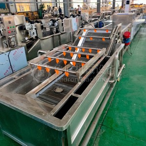 เครื่องล้างทำความสะอาดแบบฟองสายพานลำเลียงผักผลไม้ผักชีฝรั่งมันฝรั่งอุตสาหกรรม - Product Image 3