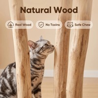 Lit pour chat en bois naturel de luxe personnalisé à bon prix, emballage carton Halloween pour intérieur